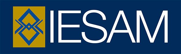 IESAM – Instituto de Estudios Superiores ANGLO MEXICANO