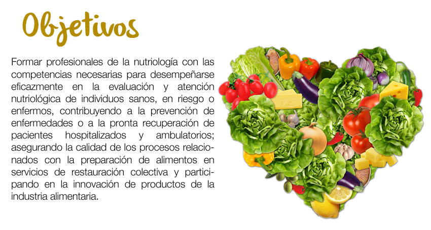 Licenciatura en Nutrición en Coatzacoalcos . ANGLO MEXICANO